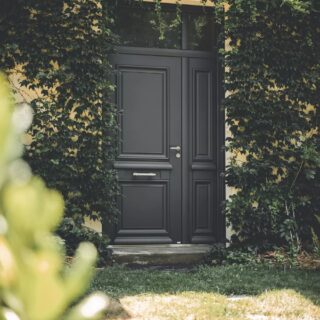 porte d'entrée bois odyssee-mixte-description